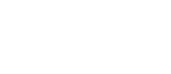 Novolex標誌